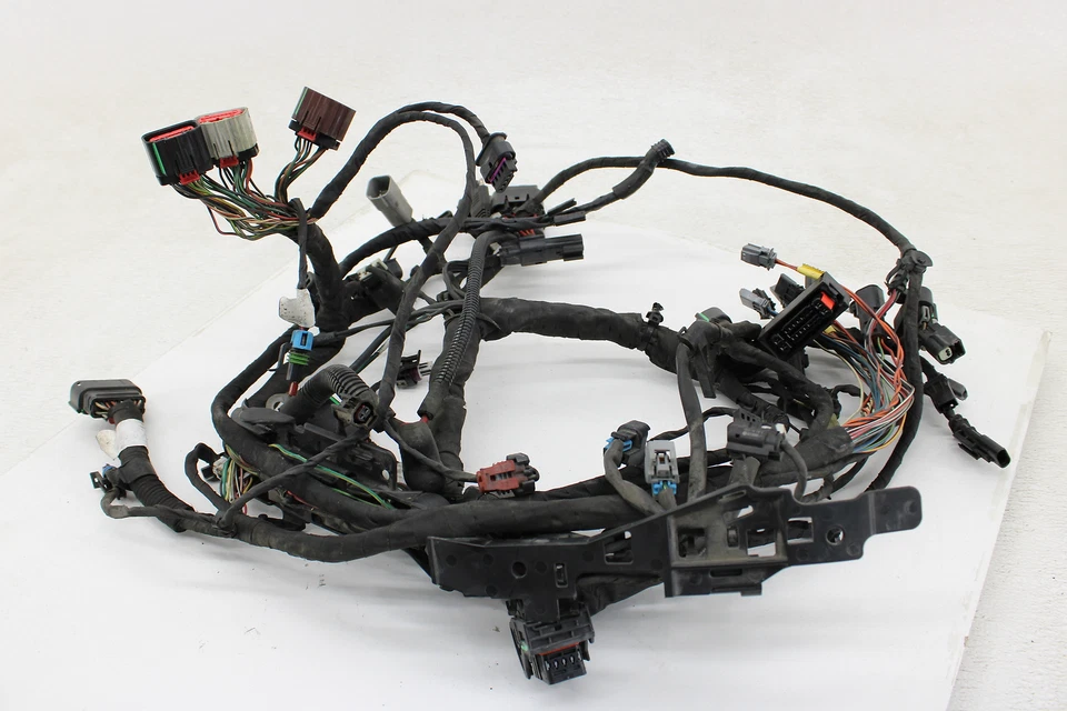 2018-2020 Harley Softail Man Wiring Harness With ABS - Image 1 of 4