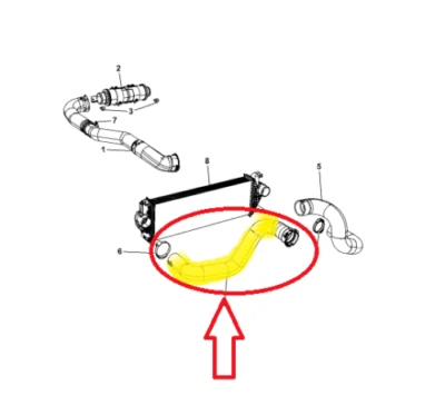 LADELUFTSCHLAUCH FÜR JEEP GRAND CHEROKEE III / IV 3.0 CRD 55038005AB - Bild 1 von 4