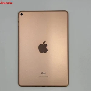 iPad mini 5th generation Wi Fi model 64GB Gold MUQY2J A Used 27878005 - Picture 1 of 4