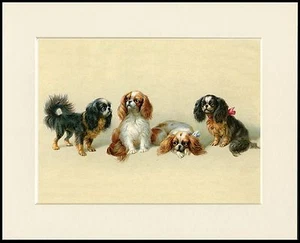 CAVALIER KING CHARLES ENGLISH TOY SPANIEL DOGS LOVELY DOG PRINT READY TO FRAME - Picture 1 of 1