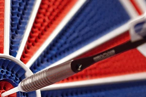 Komplettset (ohne Abbildung) #213000-1 orig. Löwen, siehe Beschreibung