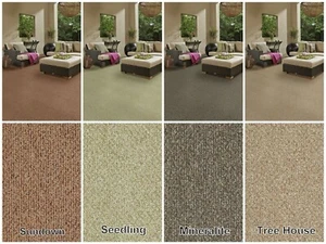 Koeckritz Natural Path 9' x 12' Custom Cut Level Loop Indoor/Outdoor Area Rug - Picture 1 of 31