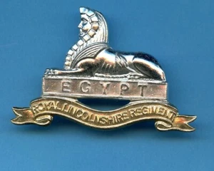 The Royal Lincolnshire Regiment Anodised A/A Cap Badge - Picture 1 of 2