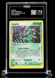 Pokémon Ex Rubí y Zafiro Sceptile 2003 #11/109 Etiqueta Holográfica 7.5 - Imagen 1 de 7