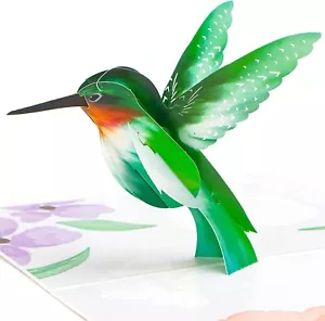 3D Hummingbird Pop Up Card With Envelope for All Occasion, Mothers Day,Birthday - Picture 1 of 6