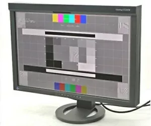 EIZO ColorEdge CG245W 24.1 inches IPS LCD PC Monitor 1920 x 1200 Gray - Picture 1 of 1