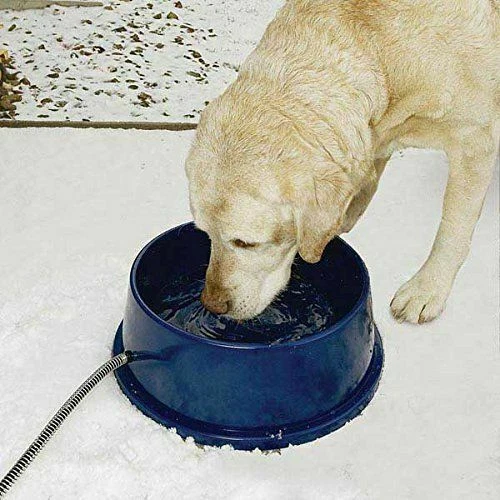 K&h Heated Thermo Pet Dog Water Bowl 96 Oz Kh2010 Thermostatically Controlled
