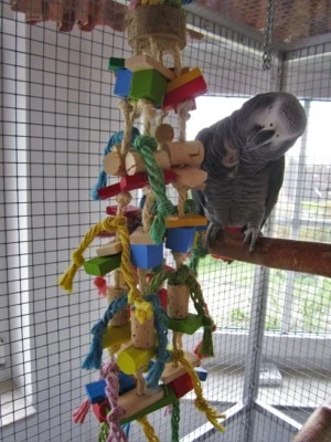 Papageienspielzeug: BIRDY PARTY FUN, aus Buchenholz u. Kork, Angebot, 72 Teile - Bild 1 von 2