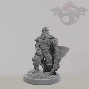 Paladin - Dungeons and Dragons, 5e, Pathfinder - Miniatur - Bild 1 von 5