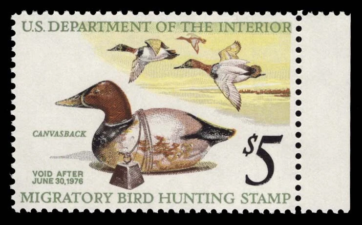1975 U.S. Federal Duck Stamp (RW42v2) - Image 1 of 1