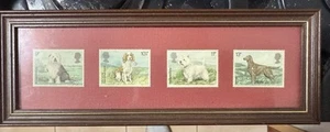1979 Royal Mail GB British Dogs Set of 4 Mint Stamps Framed - Picture 1 of 6