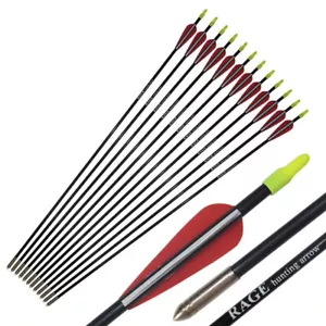 12Pcs Fiberglass Arrow 31" Special Nocks Anti Burst Harmless Safe Recurve bow - Picture 1 of 10