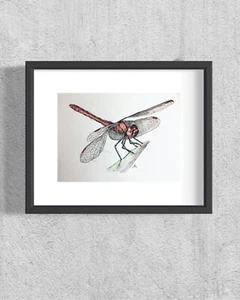 Original Aquarell Tusche Gemälde , Bild direkt vom Künstler, Libelle ,Grafisch, - Bild 1 von 9