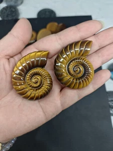 1 pieza Piedra natural ojo de tigre tallada a mano caracola cristal cuarzo Reiki curación - Imagen 1 de 9