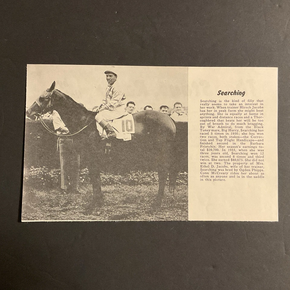 SEARCHING photo Horse Racing CHAMPION FILLY  AFFECTIONATELY - Image 1 of 1