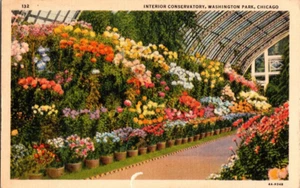 1938 Linen Interior Conservatory Washington Park Chicago Postcard - Posted - Picture 1 of 2
