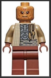 LEGO Star Wars SW1197: Weequay Guard Minifigure Boba Fett’s Throne Room 75326 - Picture 1 of 1