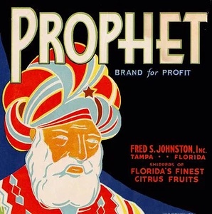 Tampa Florida Prophet Orange Citrus Fruit Crate Label Print - Picture 1 of 1