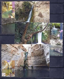 CASCADAS ISRAEL 2021 3 SELLOS EN TARJETAS MÁXIMAS FAUNA FLOR CABRAS - Imagen 1 de 4