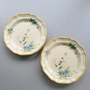 Mikasa Day Dreams Salad Plate Set of 2, Garden Club, Beige Speckles Blue Floral - Picture 1 of 10