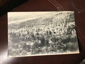 Japan Postcard Russo Japanese War Wire Entanglement SUNGSHUSHAN - Picture 1 of 6