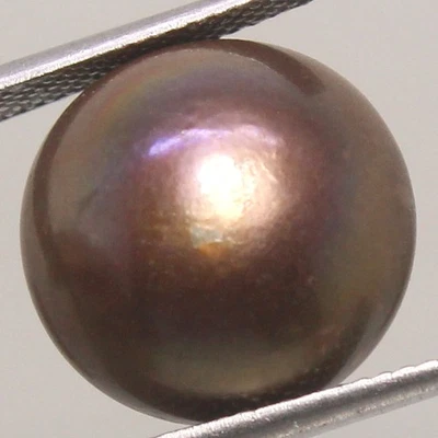 Natural 16.35 Ct South Sea Black "Tuamotu" 14.00 MM Round Loose Tahitian Pearl - Image 1 of 4
