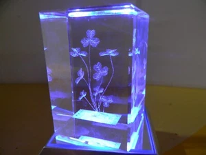 FLORES - Pisapapeles prisma grabado láser 3D vidrio cristal #8 - Imagen 1 de 6