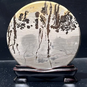 Hermosa piedra caliza dendrítica china natural 143G Guohua - rara - Imagen 1 de 15