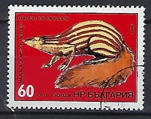 Bulgaria 1985 (1) Animales Salvajes Yvert Nº 2897 Desvalorizado - Imagen 1 de 1