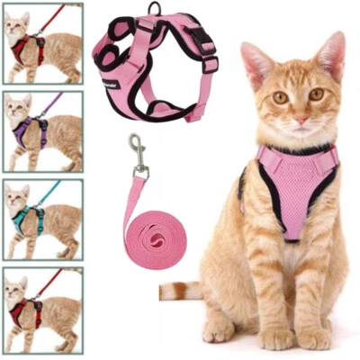 Katzengeschirr mit Leine Katzen Brustgeschirr Verstellbar Hundegeschirr Geschirr - Bild 1 von 4