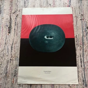 Poster Kumar Ravi Tantra 1968 Ajit Mookerjee poster Tantra libro d'arte - Foto 1 di 11