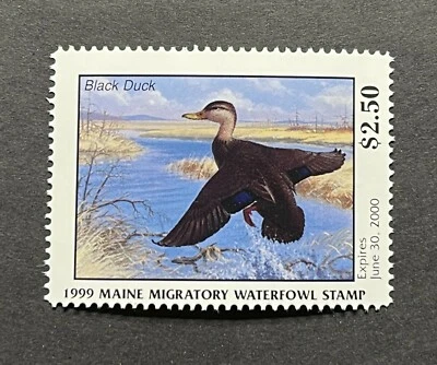 WTDstamps - 1999 MAINE - LotP - State Duck Stamp - Mint OG NH - Image 1 of 2