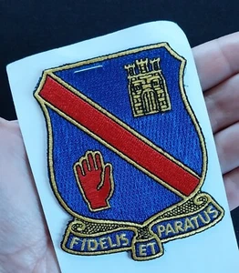 372nd Infantry Regiment DUI CREST ~ FIDELIS ET PARATUS~ US Military ARMY Patch - Picture 1 of 6