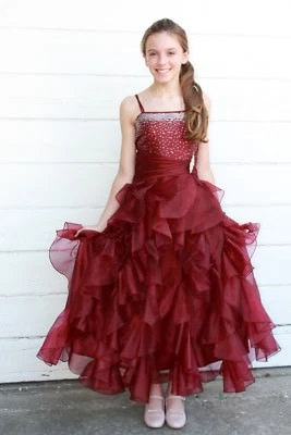 Organza Pleated Ruffled Flower girl dress Junior Bridesmaid Christmas Pageant - Image 1 of 4