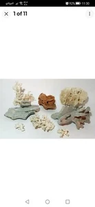 COLLECTION OF ASSORTED MARINE CORAL ROCK - BLUE WHITE BROWN - Picture 1 of 9