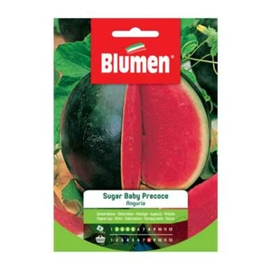 SEMI ANGURIA SUGAR BABY PRECOCE BLUMEN - Foto 1 di 1