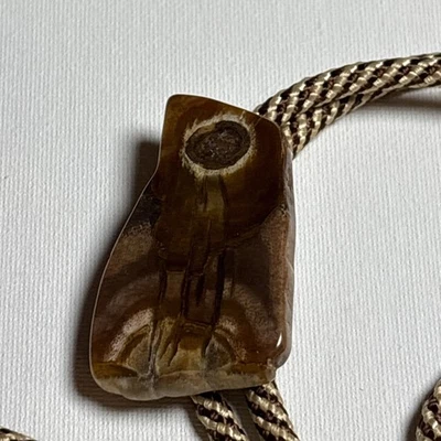 Corbata Bolo vintage de madera petrificada Foto 1 de 4