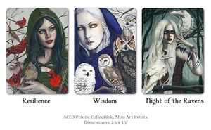 Arte Fantasía Pájaros IMPRESIÓN ACEO Cardenales Chamán Mujer Búhos Cuervos Naturaleza Espiritual - Imagen 1 de 10