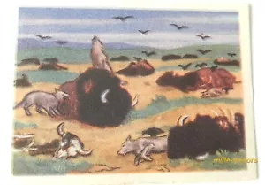 Image CHROMO Chocolat MARTOUGIN : Bisons empoisonnés N°98 Album SITTING BULL - Foto 1 di 2