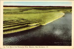 Moncton New Brunswick-Tidal Bore Petitcodiac River Canada cartolina d'epoca vista - Foto 1 di 2