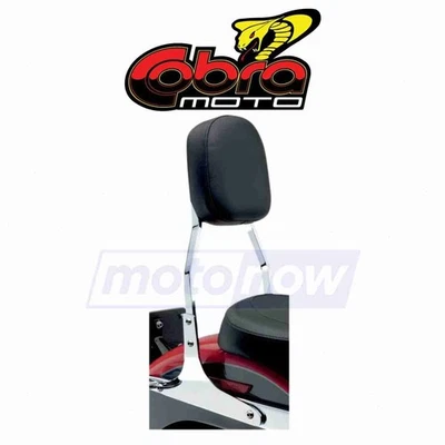 Cobra Standard Square Sissy Bar for 2000-2006 Harley Davidson FLSTF Fat Boy gn - Imagem 1 de 4