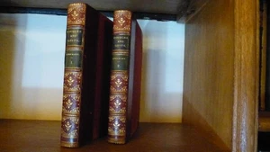 1869 SCARCE TWO VOL NOVEL BY LAWRENCE LOCKHART - DOUBLES OR QUITS FINE LEATHER - Picture 1 of 12
