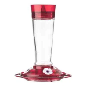 More Birds Bird Health+ Ruby Hummingbird Feeder 10 oz. - Picture 1 of 2