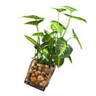 Fake Plants Decors Home Plant Decoration Real Looking Plants