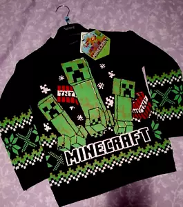 *NEW* MINECRAFT KIDS JUMPER Age 6/7 - 116/122cm - Picture 1 of 5