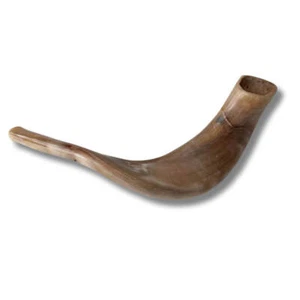 Shofar cuerno de carnero pulido kosher de Israel Jerusalén - Imagen 1 de 6