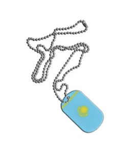 Dog Tag Fahne Flagge Kasachstan DogTag 3x5cm Kette mit Anhänger - Bild 1 von 1