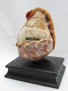 Antique Carved Cameo Seashell Sea of Galilee Eretz Israel Judaica Jewish - Picture 1 of 6