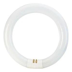 31640 Luxo Circline 22W T-9 Fluorescent Bulb for LC/KFM/IFM Lamps, 1 Each - Picture 1 of 2