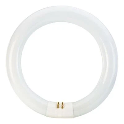 31640 Luxo Circline 22W T-9 Fluorescent Bulb for LC/KFM/IFM Lamps, 1 Each - Image 1 of 2